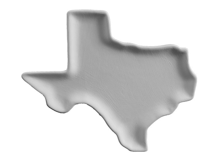 Texas Plate