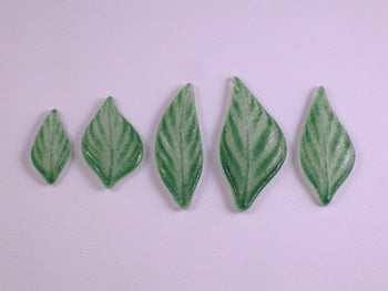 Assorted Small Leaves (CDV)