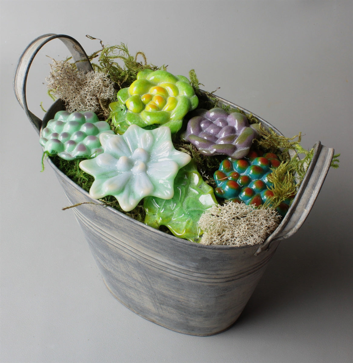 Small Succulents (CPI LF173)