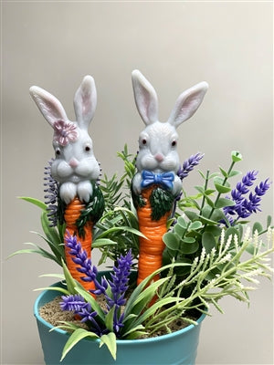 Bunny and Carrot Stakes (CPI LF225)