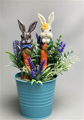 Bunny and Carrot Stakes (CPI LF225)